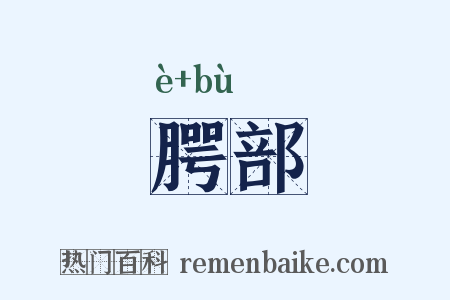 腭部是什么意思的图片